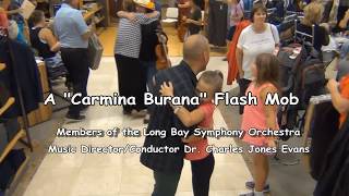 A quotCarmina Buranaquot Flash Mob [upl. by Engelhart]