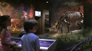 Gray Fossil Site amp Museum [upl. by Farnsworth]