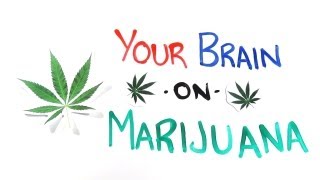 Your Brain on Drugs Marijuana [upl. by Llenrac]