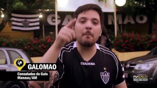 Consulados do Galo  GaloMao  ManausAM [upl. by Naleag]