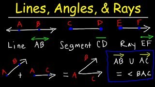 Lines Rays Line Segments Points Angles Union amp Intersection  Geometry Basic Introduction [upl. by Schnorr203]