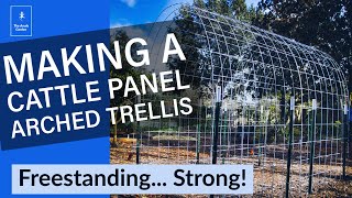 How to Build a Strong Cattle Panel Arch Trellis [upl. by Sandberg761]