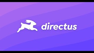 Directus  Call API roles et queries [upl. by Millisent]