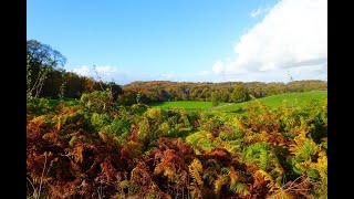 Eeuwig zingen de wolken bossen heuvels en dalen [upl. by Yadroc]