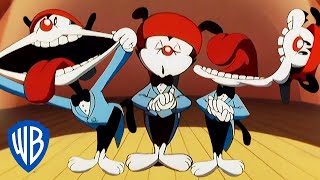 Animaniacs  The Burpee Song  Classic Cartoon  WB Kids [upl. by Lockhart]