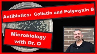 Colistin and Polymyxin B Microbiology [upl. by Kohn]