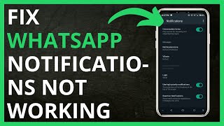 How to Fix WhatsApp Notifications Not Working in 2024 [upl. by Nyre]