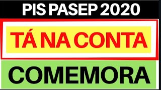 PIS PASEP 2020  meu pis pasep não caiu na conta [upl. by Catto]