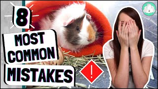 8 Most Common Guinea Pig Care Mistakes Owners Make and How To Fix Them [upl. by Dodi145]