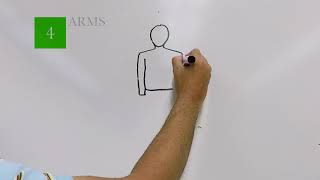 How to Draw the Human Body for kids [upl. by Guttery214]