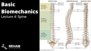 Biomechanics Lecture 4  Spine [upl. by Lunna]