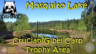 Russian Fishing 4 Mosquito Lake Beginner Trophy Area [upl. by Eirrej]