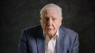 David Attenborough Explains What We Need to Do to Stop OverFishing [upl. by Bucella]