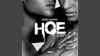 Hoe feat YG amp Yo Gotti [upl. by Rheba]