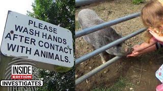 What’s at Petting Zoos That Can Get You Sick [upl. by Nylessoj]