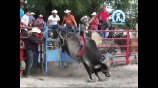 Jaripeo Potosino El Sauz Cerritos SLP [upl. by Ainitsirk]