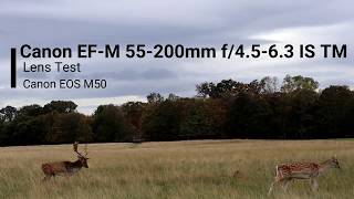 Canon EFM 55200mm Photo amp Video Test [upl. by Morvin]