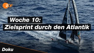 Vendée Globe Schafft der Deutsche Boris Herrmann die Sensation  SPORTreportage  ZDF [upl. by Aisela]