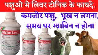 meboliv veterinary uses  meboliv liver tonic  meboliv syrup uses in hindi [upl. by Neiman99]