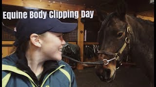 Body Clipping Horses  Tips and Tricks [upl. by Anayik]