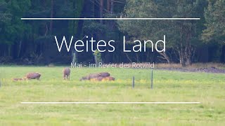 Weites Land  Mai im Revier des Rotwild [upl. by Philander]