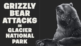 Bear Attacks in Glacier National Park [upl. by Rudelson717]