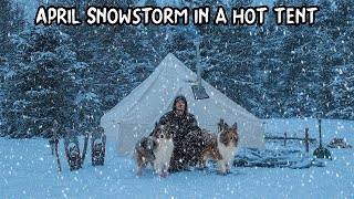 Spring Snowstorm Camp with My Dogs  2 Feet of Snow in April [upl. by Eocsor]