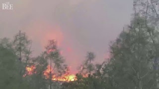 Live from Canyon Ranch in Paradise CA near the Camp Fire [upl. by Oyek]