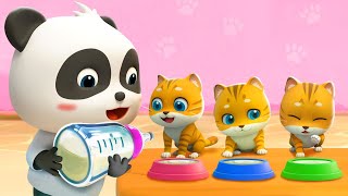 Kitty Cat Song  Play with Kittens  Pet Care Song  Nursery Rhymes amp Kids Songs  BabyBus [upl. by O'Reilly]