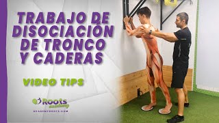 🎥 Trabajo de disociación de tronco y caderas  Roots videotips ✅ [upl. by Schreib]