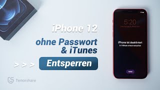 iPhone 12 ohne Passwort amp iTunes Entsperren 2024 [upl. by Mcnalley]