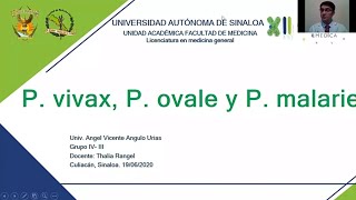 3 Plasmodium vivax P ovale P malariae [upl. by Carol-Jean379]