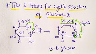 Trick to draw Cyclic Structure of Glucose class 12  Biomolecules  JEE  NEET [upl. by Auqinat102]