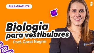 Animais Invertebrados  Biologia para ENEM e Vestibulares 2022  Prof Carol Negrin [upl. by Rudin]