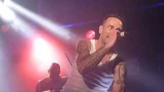 Funker Vogt  Arising Hero live  DMF 2013 [upl. by Shandra130]