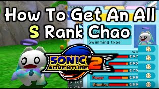 How To Get An All S Rank Chao In Sonic Adventure 2 Quick Guide [upl. by Brogle234]