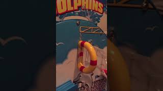 Jumping dolphins from world animals [upl. by Forlini946]