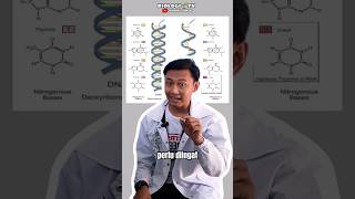 pembahasan biologi  nukleotida adalah [upl. by Calli]