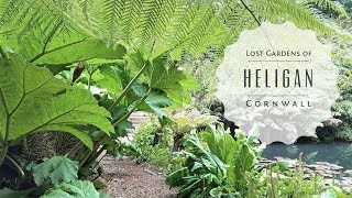 The Lost Gardens of Heligan in Cornwall England [upl. by Mabelle]