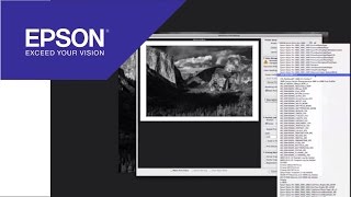 Tutorial Using the Advanced Black and White Driver  Epson [upl. by Auqenes]