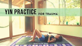 Yin Yoga for Trauma  Integrative Mental Health Flow with Echo [upl. by Nolrev]