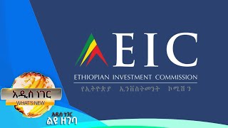 የውጪ ቀጥታ ኢንቨስትመንት፣ የካቲት 10 2017 Whats New Feb 17 2025 [upl. by Ahsinav]