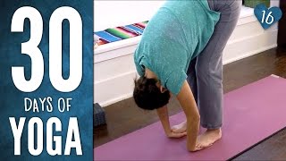 Day 16  Easy Breezy Beautiful Yoga  30 Days of Yoga [upl. by Allistir]