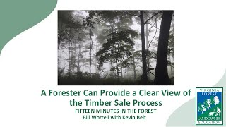 Fifteen Minutes in the Forest A Forester Can Provide a Clear View of Your Forest Part 2 [upl. by Olimac784]