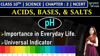 Class 10th Science  pH and Its Importance  Universal Indicator  Chapter 2 Acids Bases amp Salts [upl. by Colin]