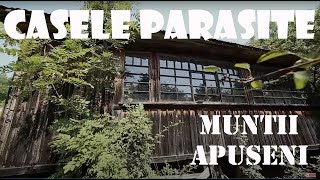 Casele Parasite din Muntii Apuseni  Izolati [upl. by Kuebbing]