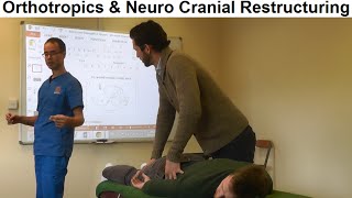 Role of Neuro Cranial Restructuring NCR in Orthotropics Treatment by Dr Mike Mew [upl. by Till]