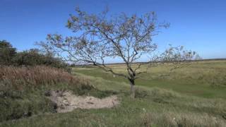 Schiermonnikoog [upl. by Philbrook]