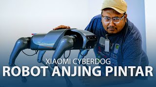 Xiaomi Cyberdog  Robot Anjing Pintar Hanya Ada 1000 Di Dunia [upl. by Atiuqihs]