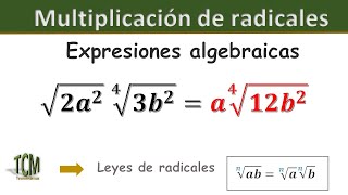 Multiplicacion de radicales  Expresiones Algebraicas  Ejemplo 2 [upl. by Divan334]